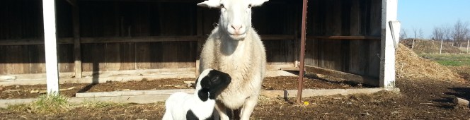 Update: April 10,&nbsp;2014