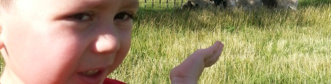 Not all is warm and&nbsp;fuzzy.