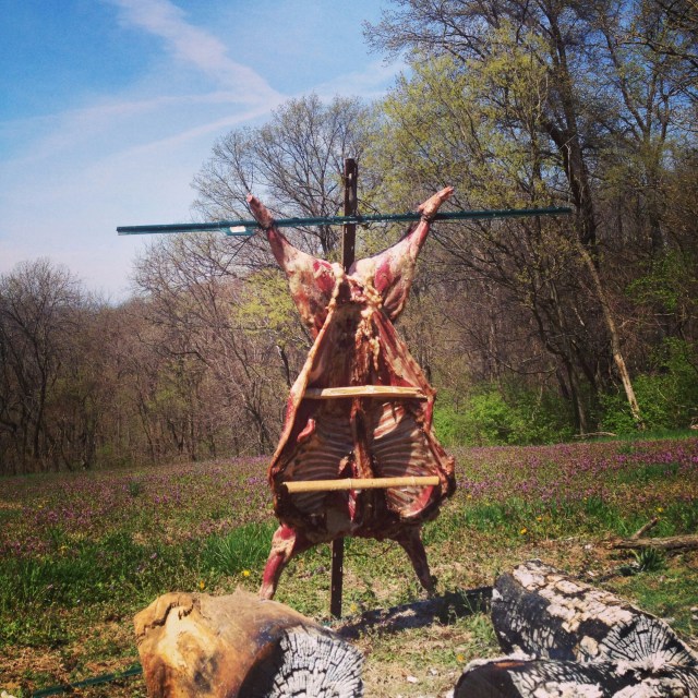 The logs are placed on both sides of the lamb, rather than one heat source in the center.