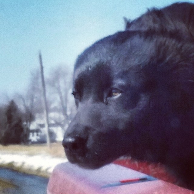 IMG_20150307_194718.jpg image