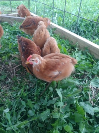 87359745_204541944284842_3430234308793597952_n