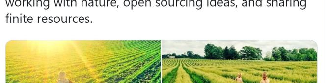 “The New Economy” and the “Law of Attraction”