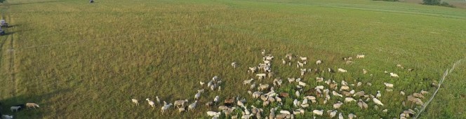 Answering Reader Mail: Fence, Labor,&nbsp;Stress?