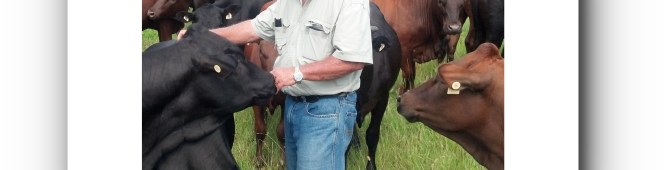 MAN, CATTLE AND VELD Audiobook Now&nbsp;Available